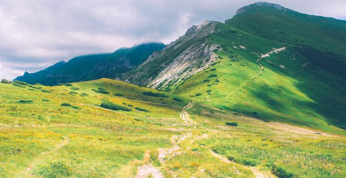 this incomparable land a guide - this incomparable land: a guide to american nature writing ebook